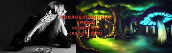 дживик Осташков