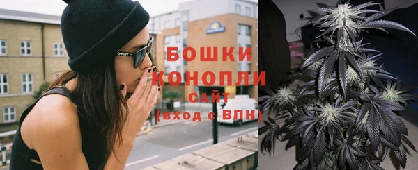 дживик Осташков